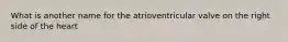 What is another name for the atrioventricular valve on the right side of the heart