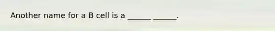 Another name for a B cell is a ______ ______.