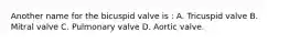 Another name for the bicuspid valve is : A. Tricuspid valve B. Mitral valve C. Pulmonary valve D. Aortic valve.