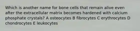 Which is another name for bone cells that remain alive even after the extracellular matrix becomes hardened with calcium phosphate crystals? A osteocytes B fibrocytes C erythrocytes D chondrocytes E leukocytes