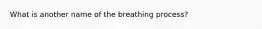 What is another name of the breathing process?