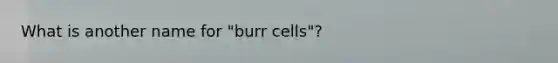 What is another name for "burr cells"?