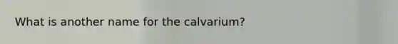 What is another name for the calvarium?