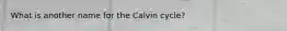 What is another name for the Calvin cycle?