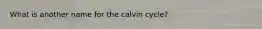 What is another name for the calvin cycle?