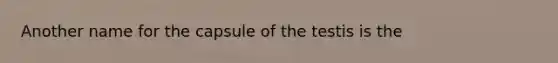 Another name for the capsule of the testis is the