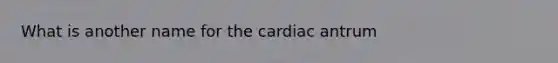 What is another name for the cardiac antrum