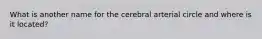 What is another name for the cerebral arterial circle and where is it located?