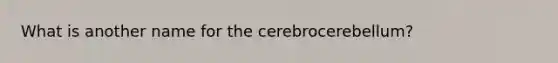 What is another name for the cerebrocerebellum?