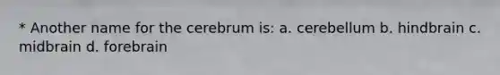 * Another name for the cerebrum is: a. cerebellum b. hindbrain c. midbrain d. forebrain