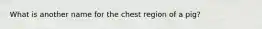 What is another name for the chest region of a pig?