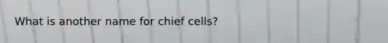 What is another name for chief cells?