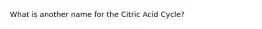 What is another name for the Citric Acid Cycle?