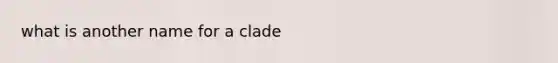 what is another name for a clade