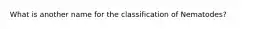 What is another name for the classification of Nematodes?