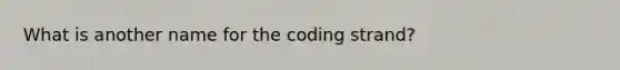 What is another name for the coding strand?