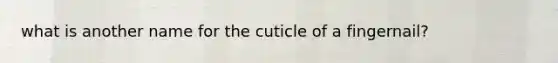 what is another name for the cuticle of a fingernail?