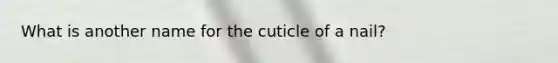 What is another name for the cuticle of a nail?