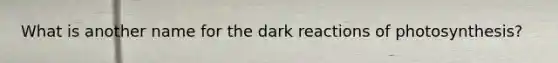 What is another name for the dark reactions of photosynthesis?