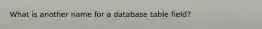 What is another name for a database table field?