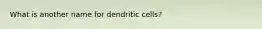 What is another name for dendritic cells?