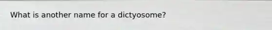 What is another name for a dictyosome?