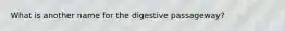 What is another name for the digestive passageway?