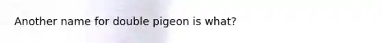 Another name for double pigeon is what?