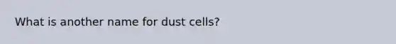 What is another name for dust cells?