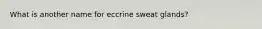 What is another name for eccrine sweat glands?