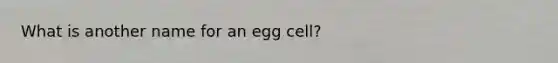 What is another name for an egg cell?