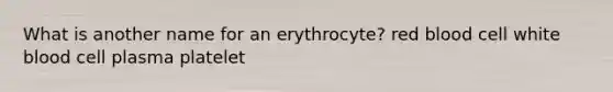 What is another name for an erythrocyte? red blood cell white blood cell plasma platelet