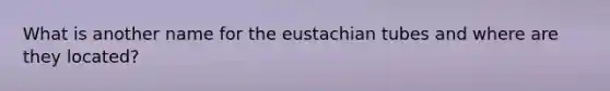 What is another name for the eustachian tubes and where are they located?