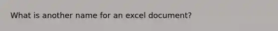 What is another name for an excel document?