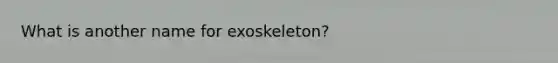 What is another name for exoskeleton?