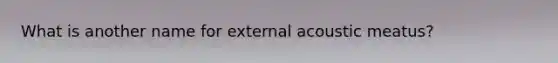 What is another name for external acoustic meatus?