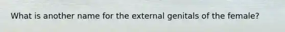 What is another name for the external genitals of the female?