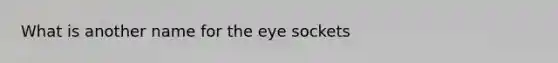 What is another name for the eye sockets