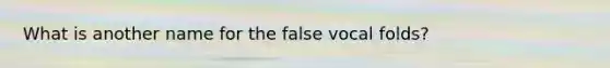 What is another name for the false vocal folds?