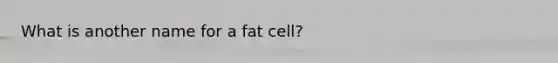 What is another name for a fat cell?