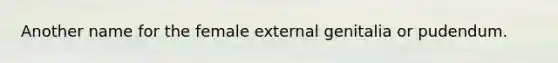 Another name for the female external genitalia or pudendum.