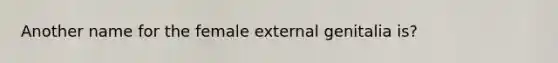 Another name for the female external genitalia is?