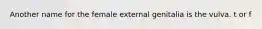 Another name for the female external genitalia is the vulva. t or f