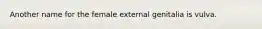 Another name for the female external genitalia is vulva.