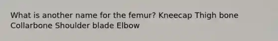 What is another name for the femur? Kneecap Thigh bone Collarbone Shoulder blade Elbow