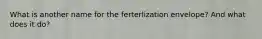 What is another name for the ferterlization envelope? And what does it do?