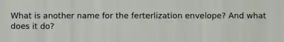 What is another name for the ferterlization envelope? And what does it do?