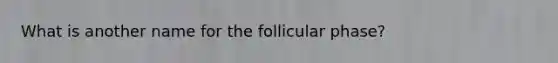 What is another name for the follicular phase?