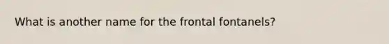 What is another name for the frontal fontanels?