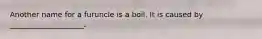 Another name for a furuncle is a boil. It is caused by ____________________.